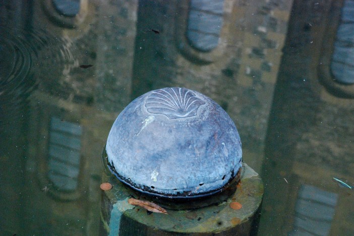 2975605552_d17c429486_b