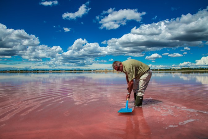 130808-SalinsAiguesMortes-165