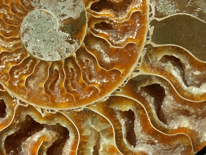 flickr-3890792152-ifill_1024x768