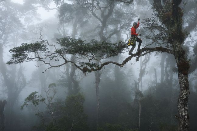 24b54a0707db64c5f6684e5504ec8ef7