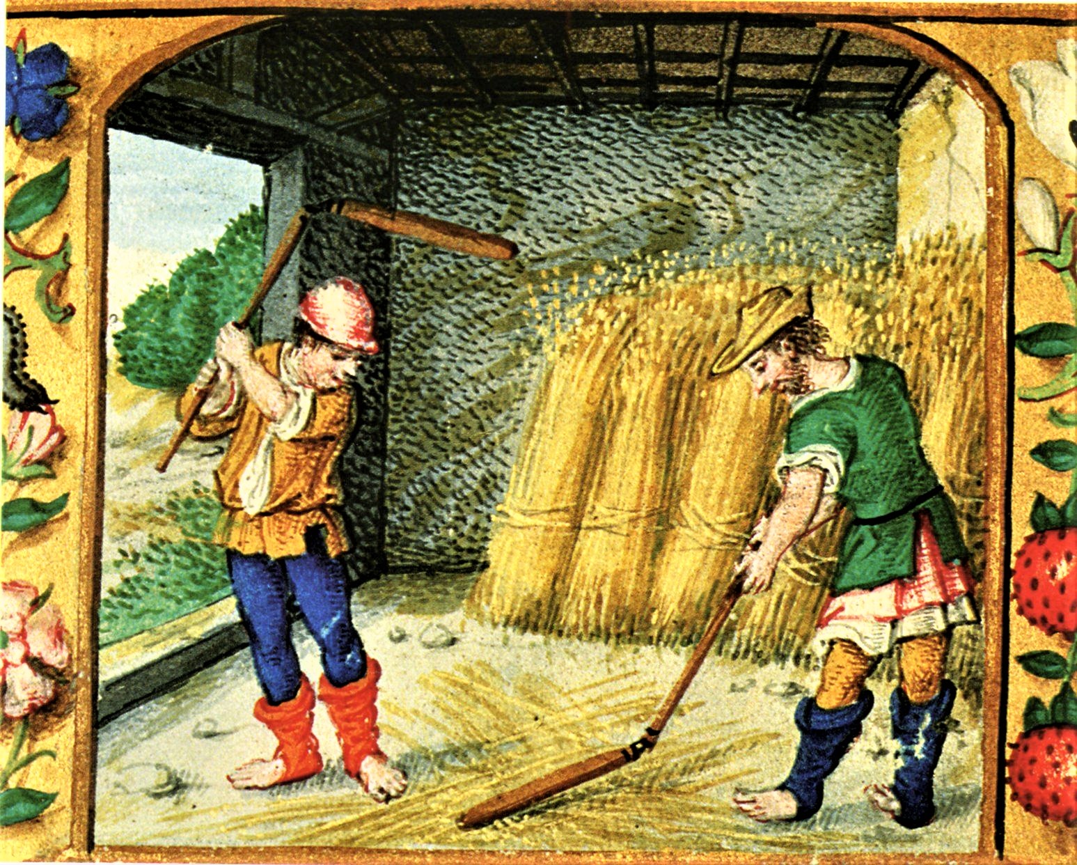 af604ac5c355ea139e00d206fafa432a