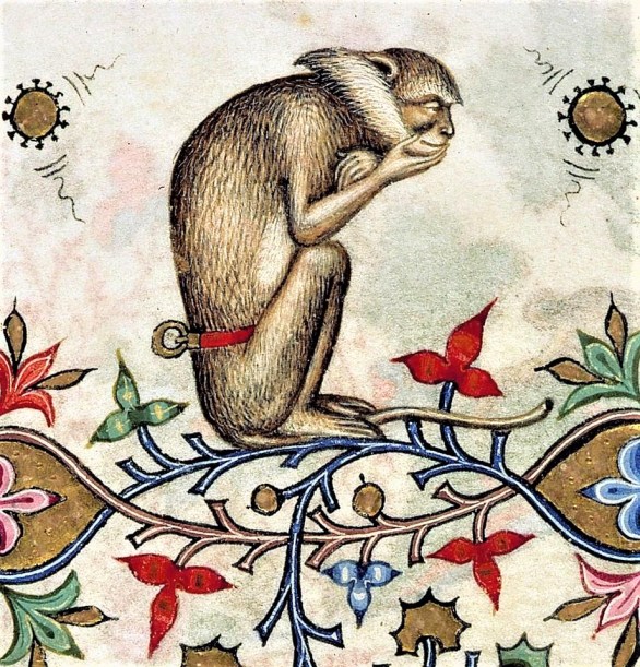 c3cc6fb80b03a18753a7d6a449302a2d