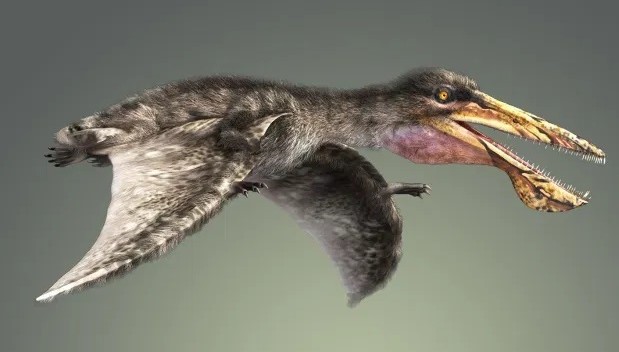 98e3682a7e57bbb5c87aff61e17019c6