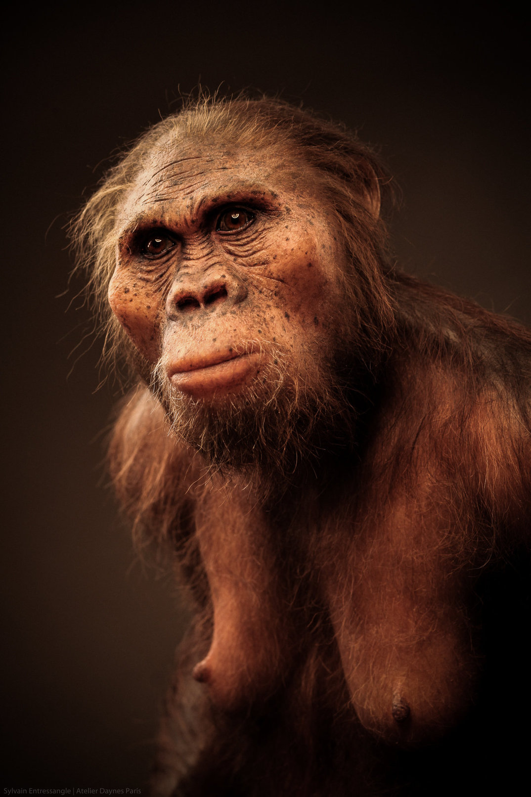 5a6cbcb30813ec2833099f67c04bf02a_hd