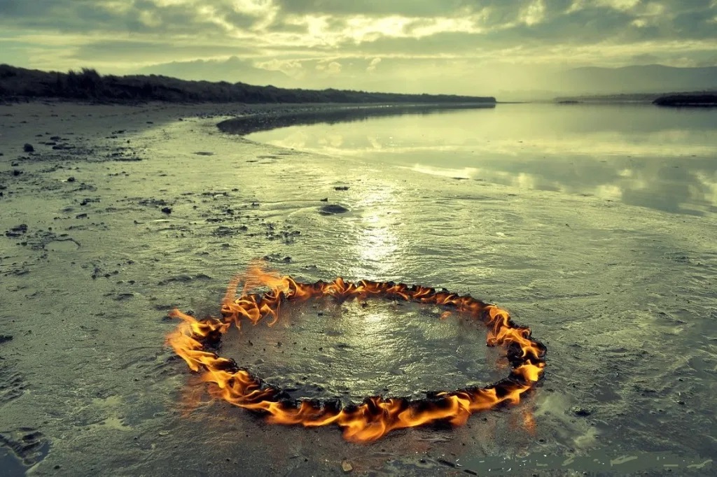 11064732_10153274873689133_6817680006463102453_o