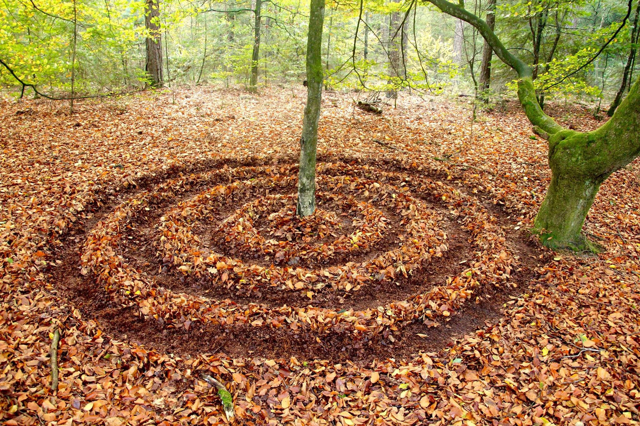 226776263_4244218315643470_5598977245257264239_n