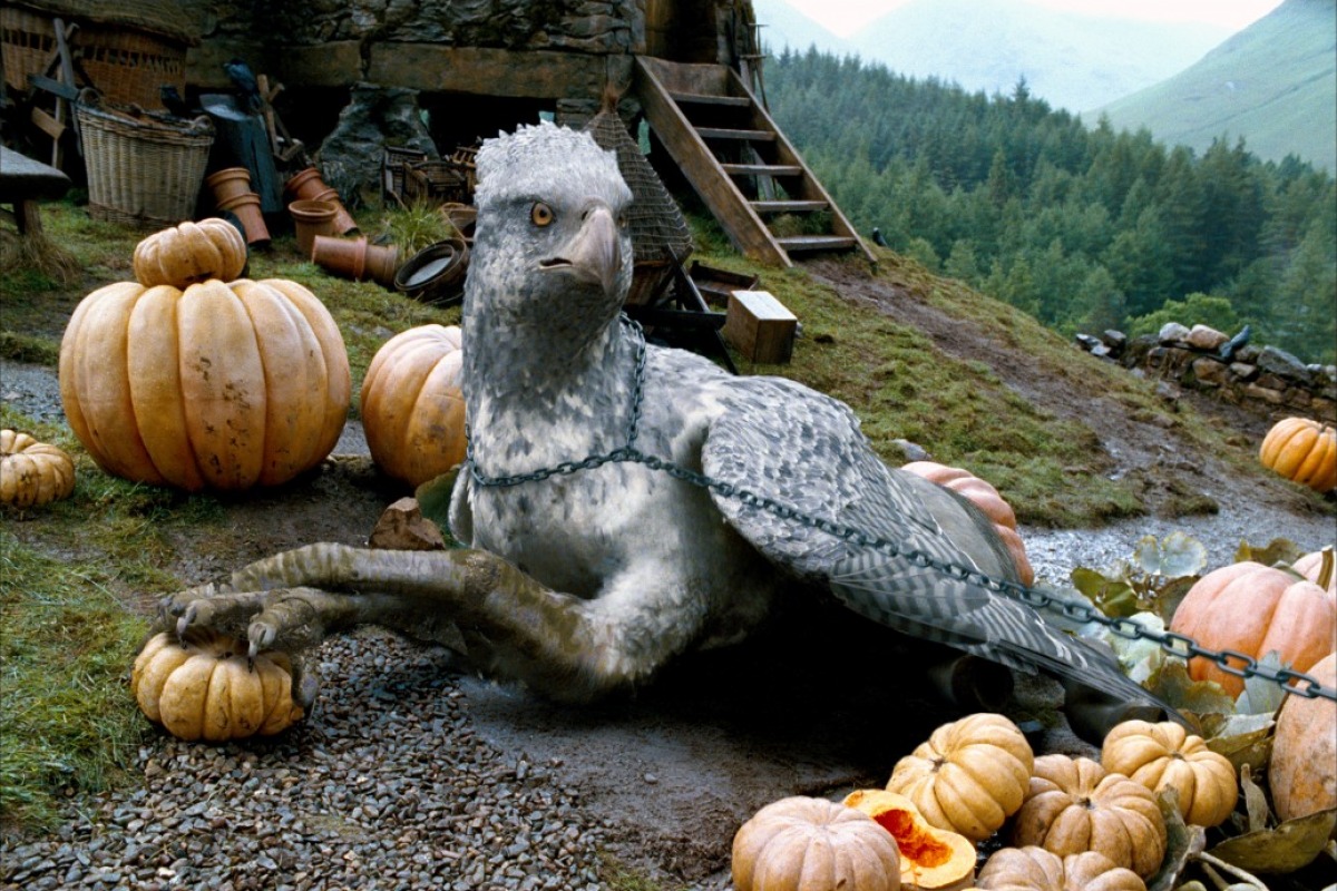 harry-potter-et-le-prisonnier-d-azkaban-2004-86-g