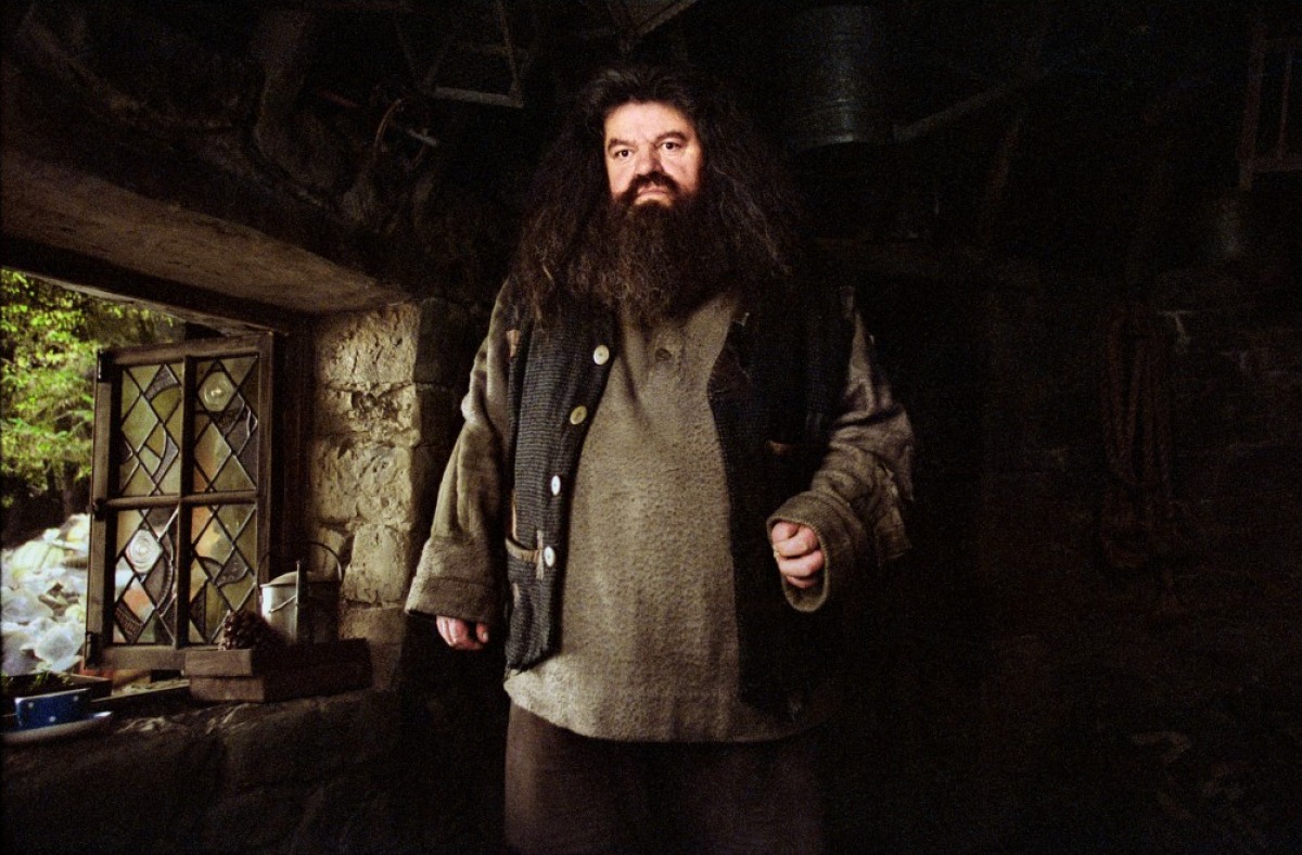 harry-potter-et-le-priso-ii09-g
