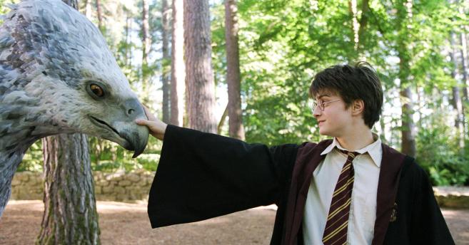 08449847-7707-4205-8D8B-D2075A827AAA