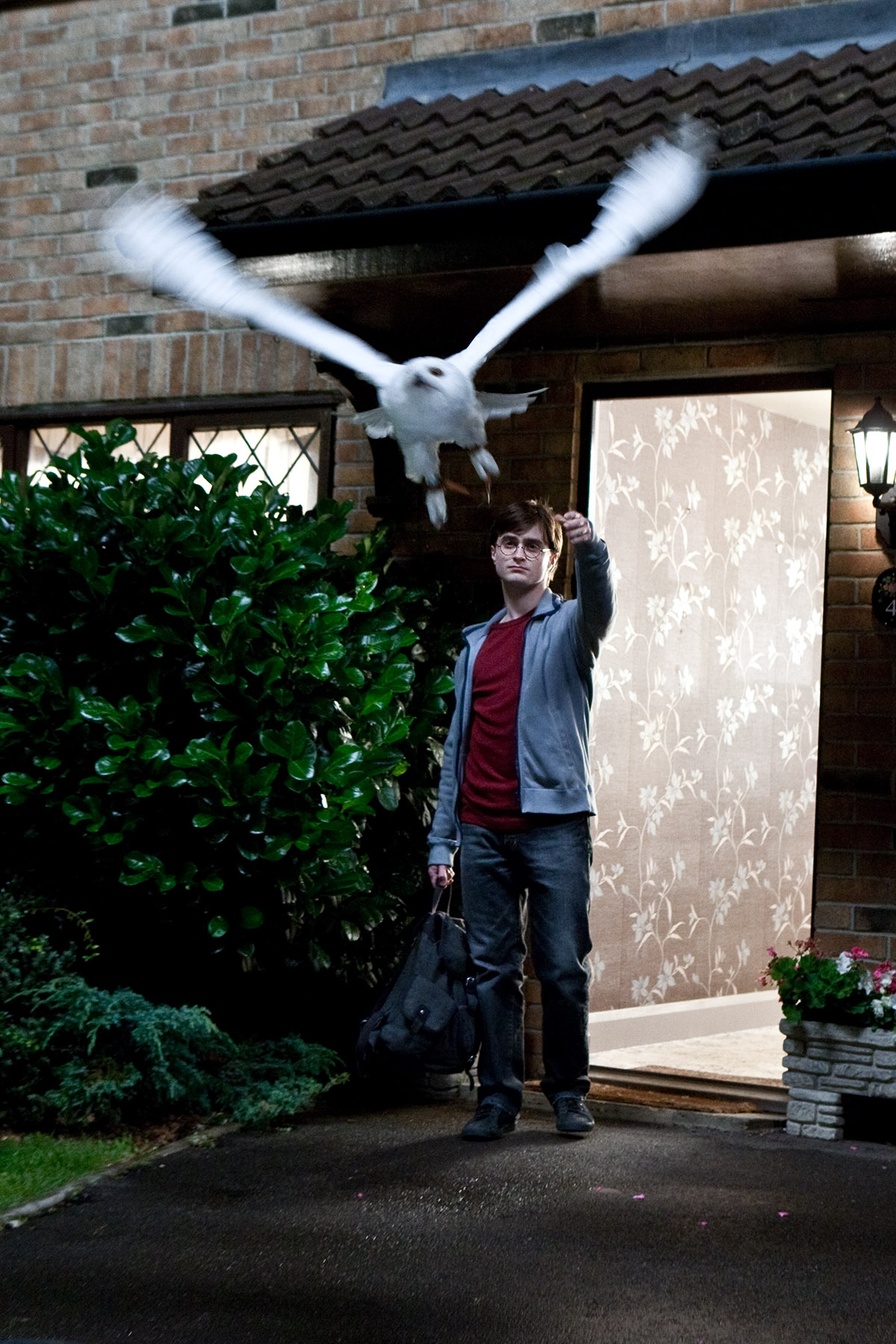 Everyone mounts up and leaves Privet Drive. Harry says goodbye to Hedwig. (SC22)