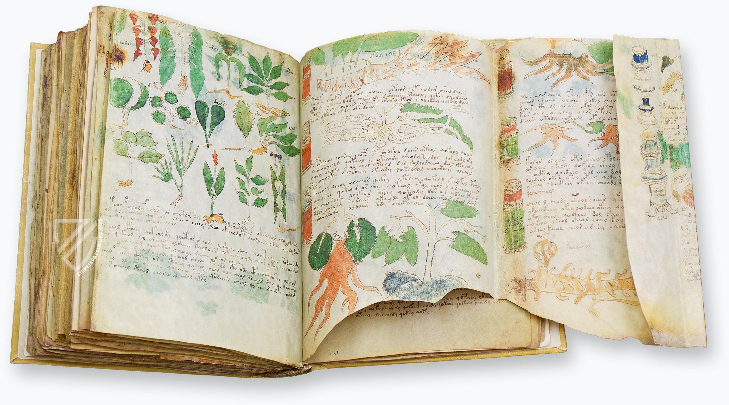 voynich-manuscript-facsimile-1051680cfbd89ba0