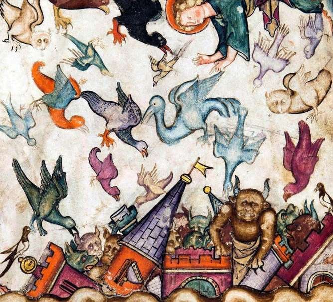 72348472_10157619816384133_1883680829624811520_n